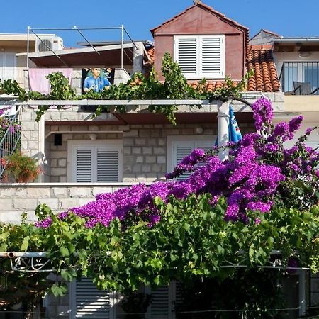 Guest House Misita دوبروفينك المظهر الخارجي الصورة